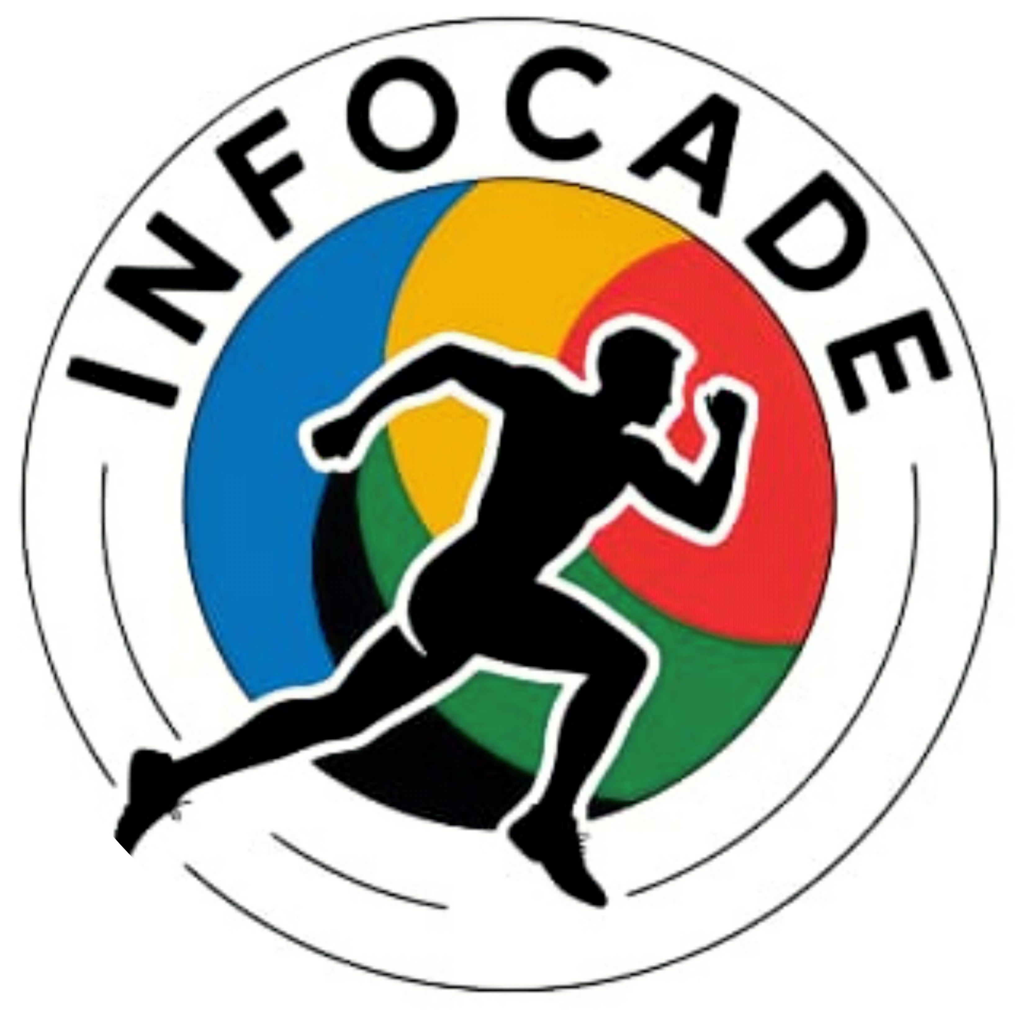 Organización 2